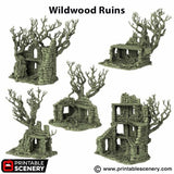 Wildwood Ruins - The Gloaming Swamp