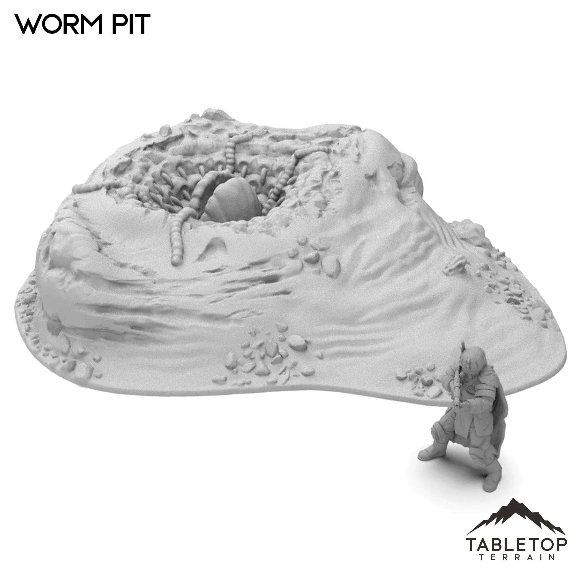 Worm Pit – Wargame Portal