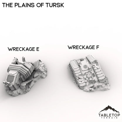 The Plains of Tursk