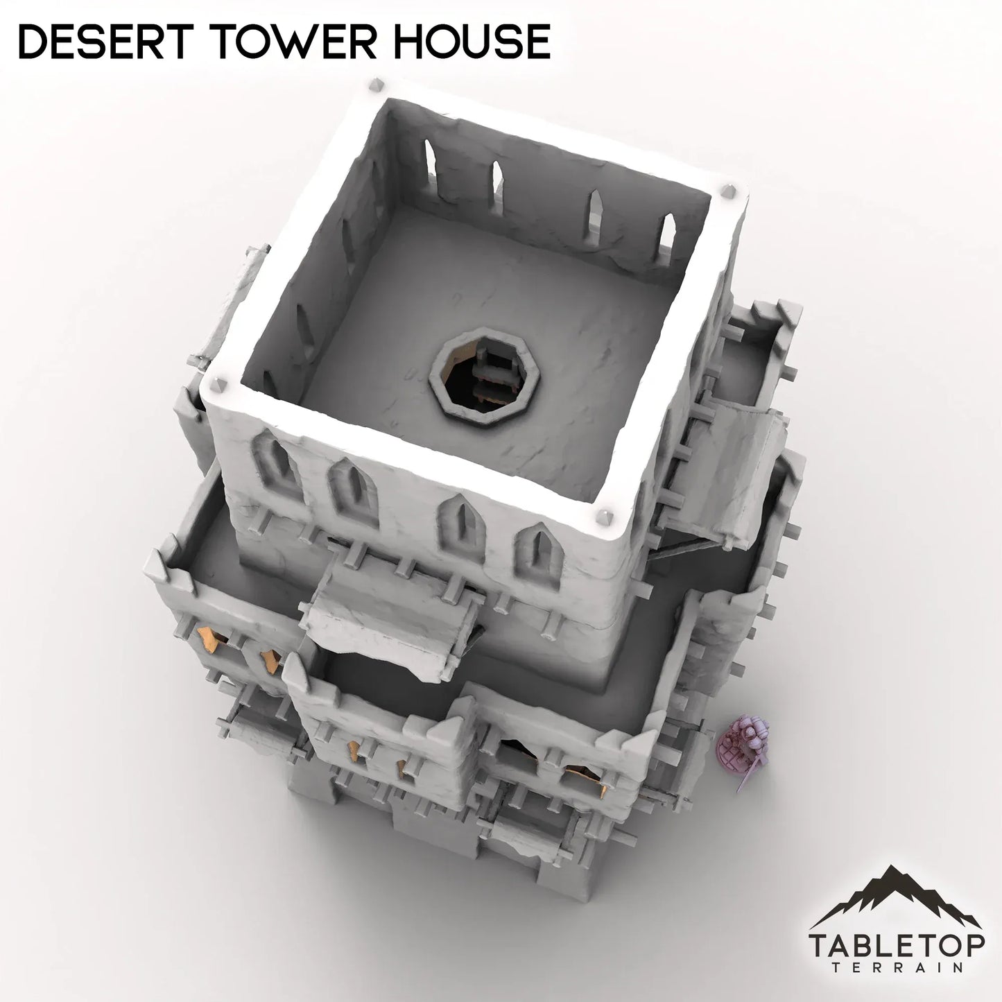 Desert Tower House