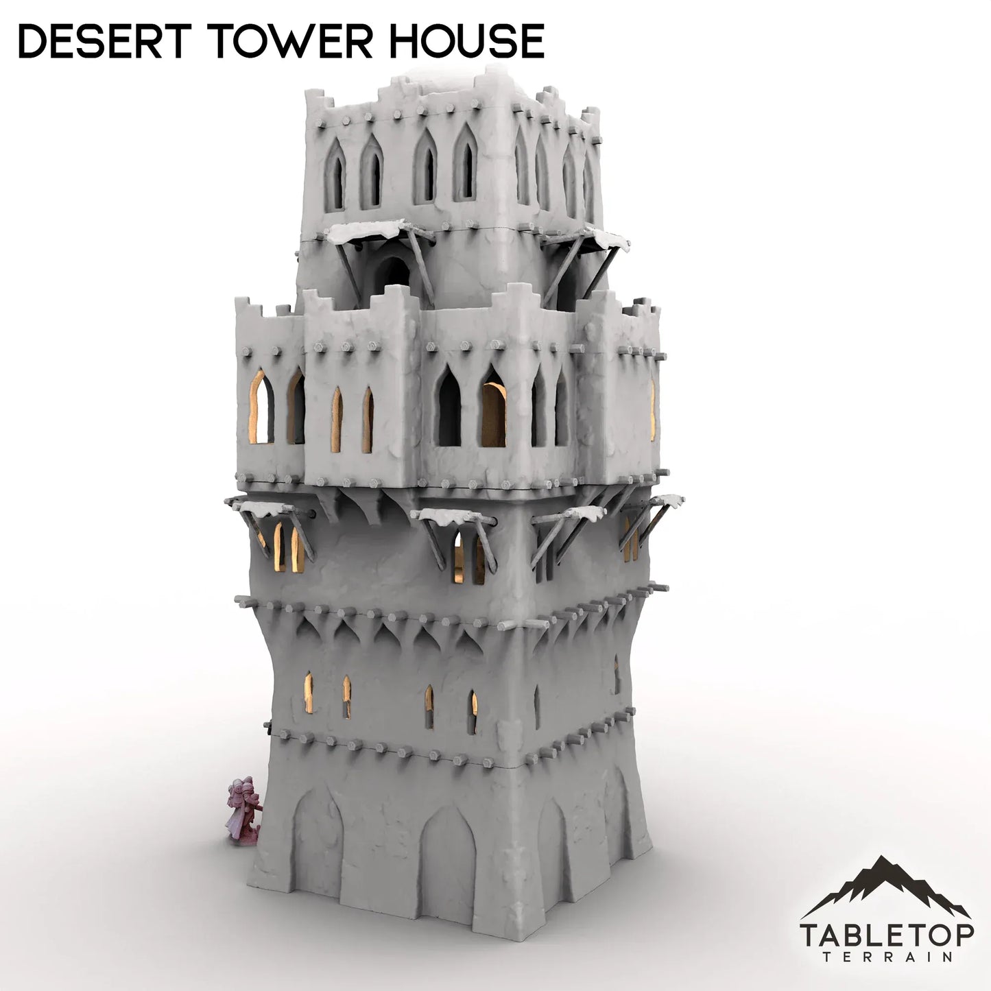 Desert Tower House