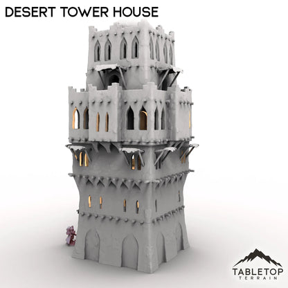 Desert Tower House