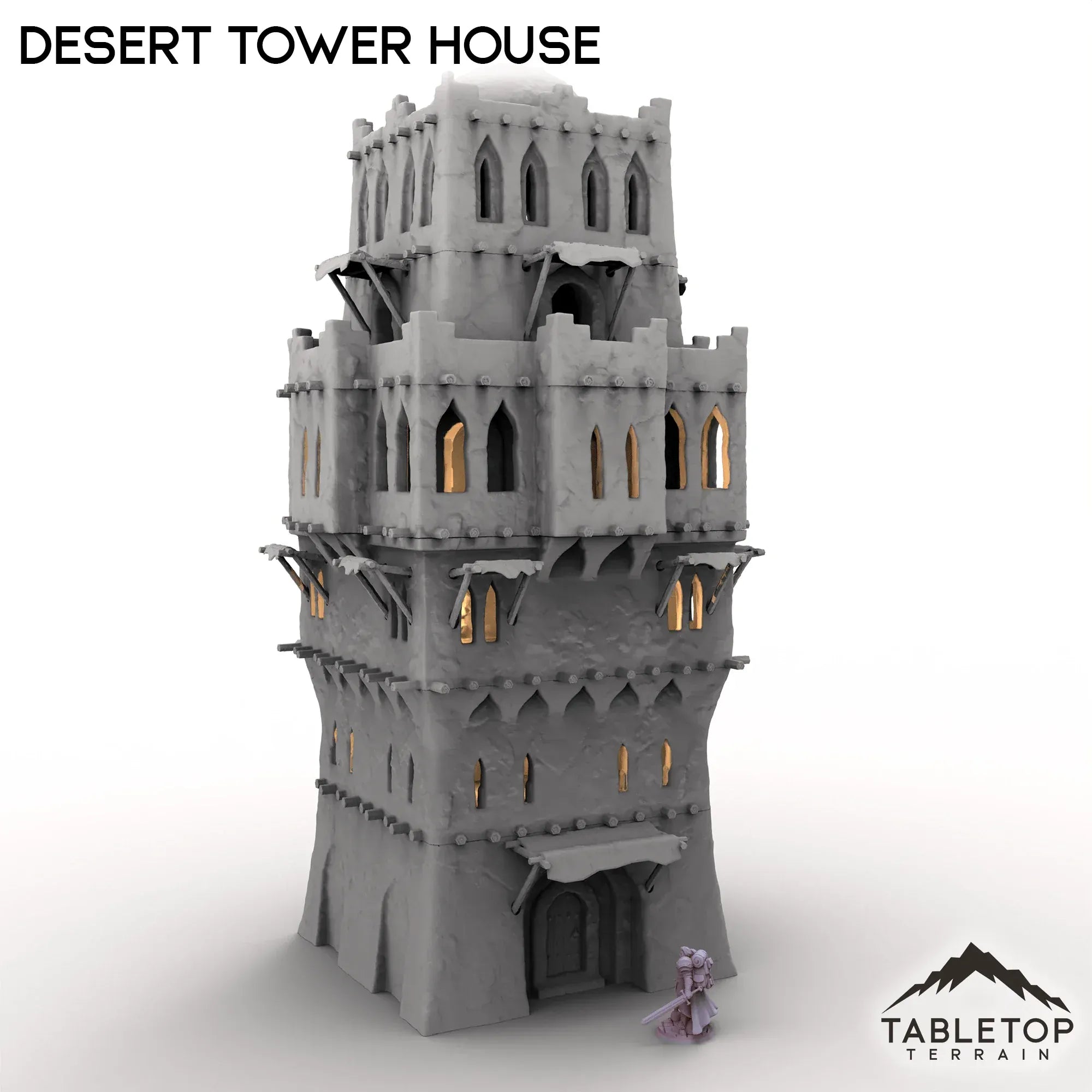 Desert Tower House