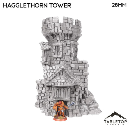 Hagglethorn Tower - Hagglethorn Hollow - Fantasy Tower