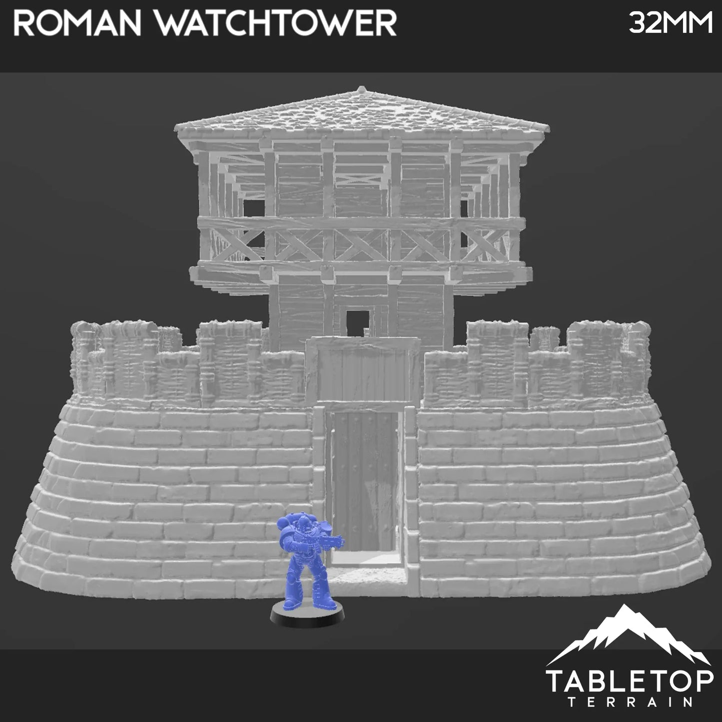 Roman Watchtower