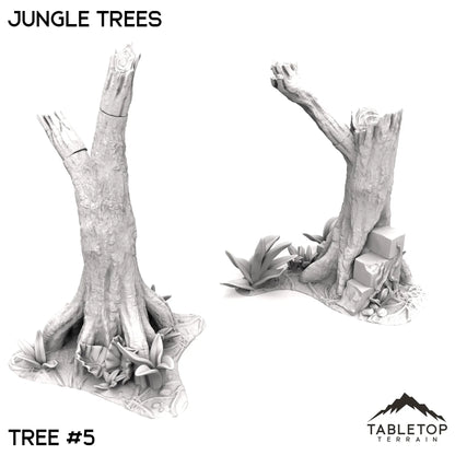 Jungle Trees