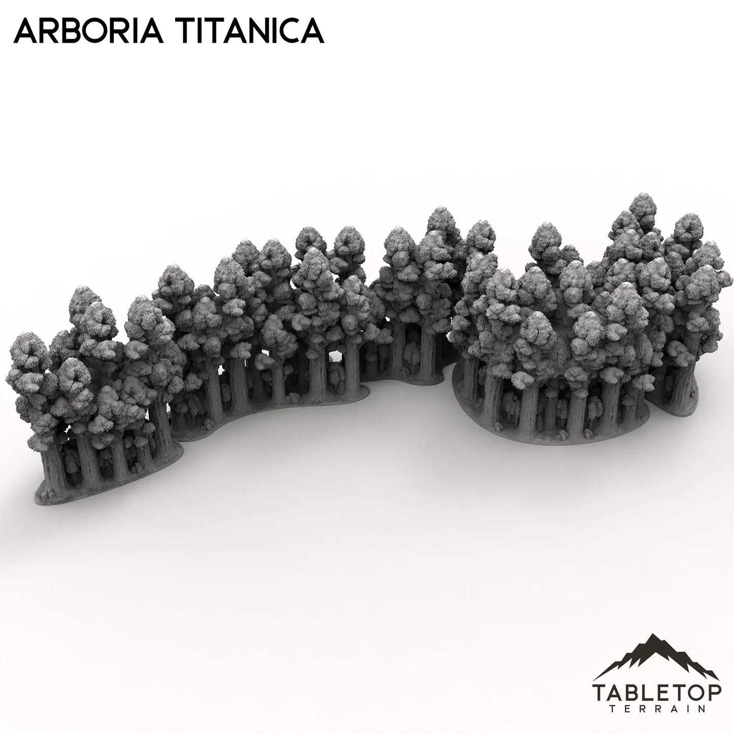 Arboria Titanica - 6-8mm