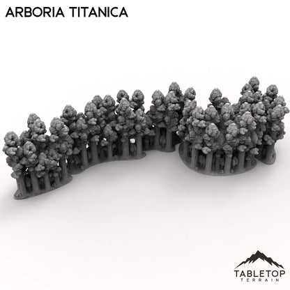 Arboria Titanica - 6-8mm