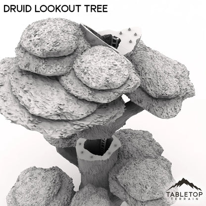 Druid Lookout Tree
