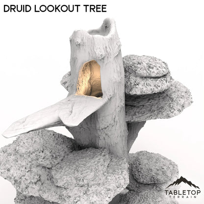 Druid Lookout Tree