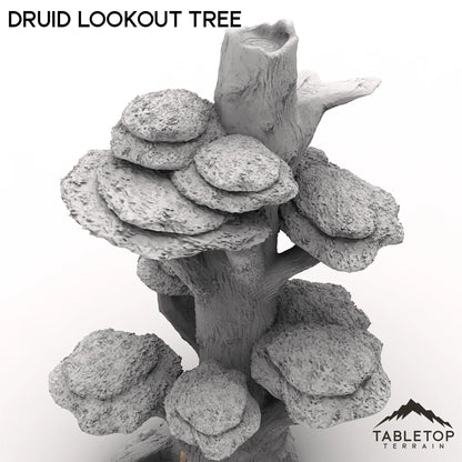 Druid Lookout Tree