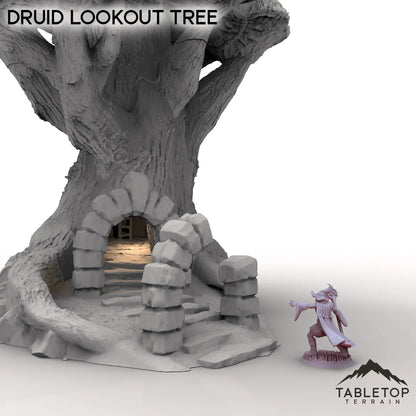Druid Lookout Tree
