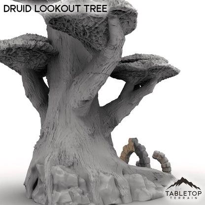 Druid Lookout Tree