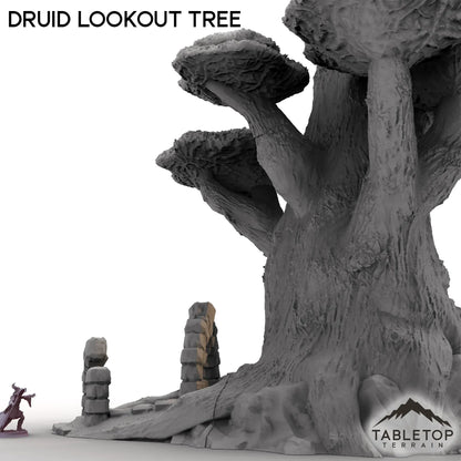 Druid Lookout Tree