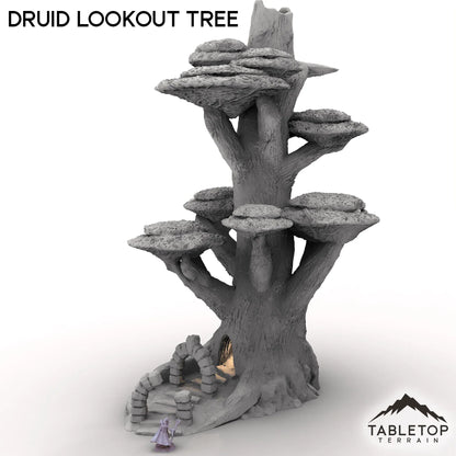 Druid Lookout Tree