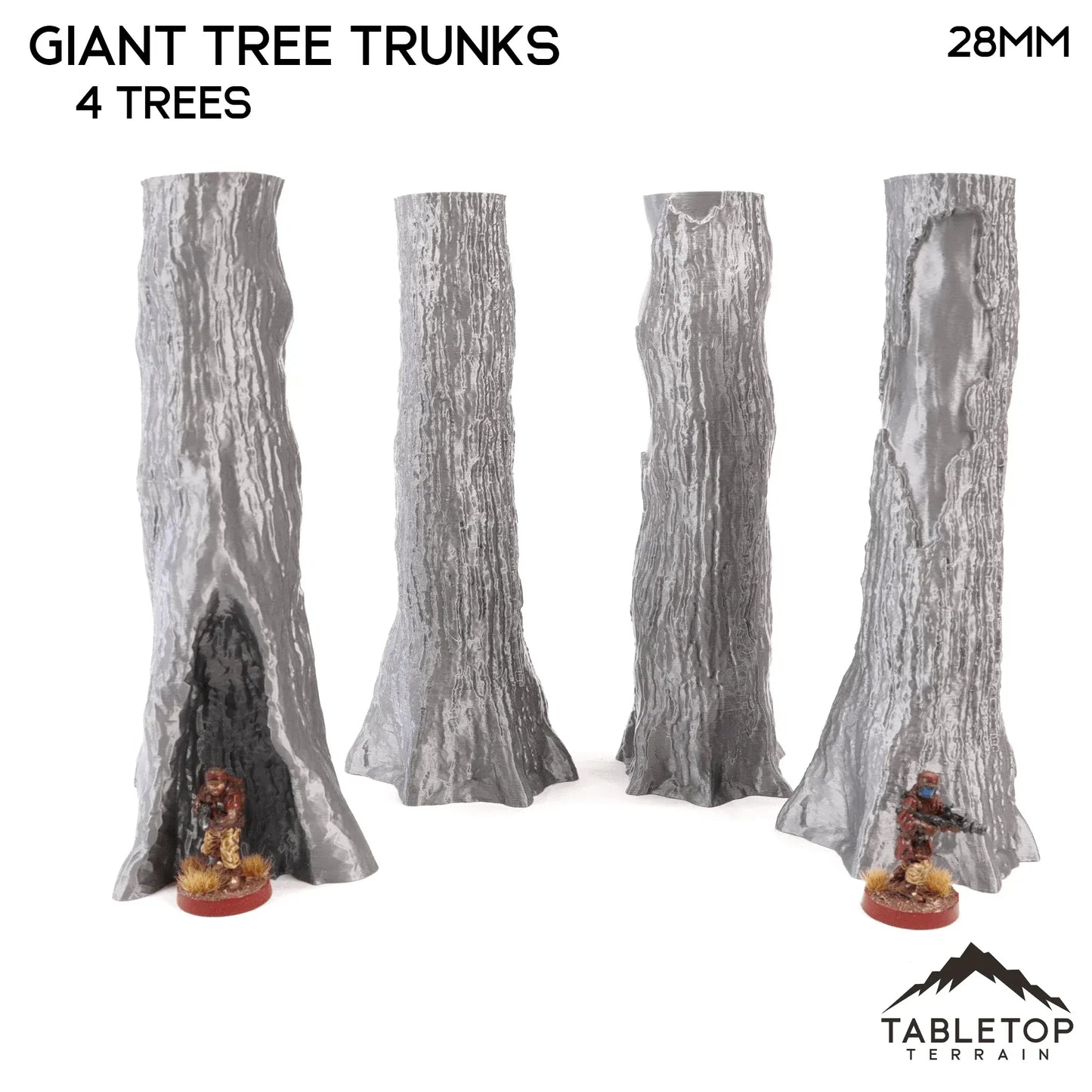 Giant Tree Trunks