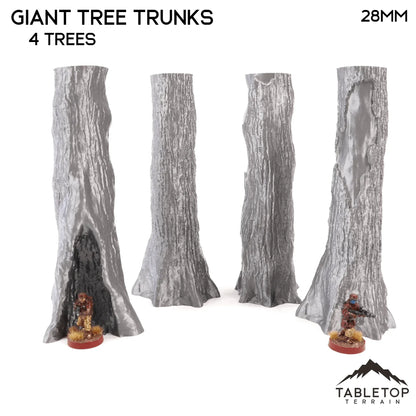 Giant Tree Trunks