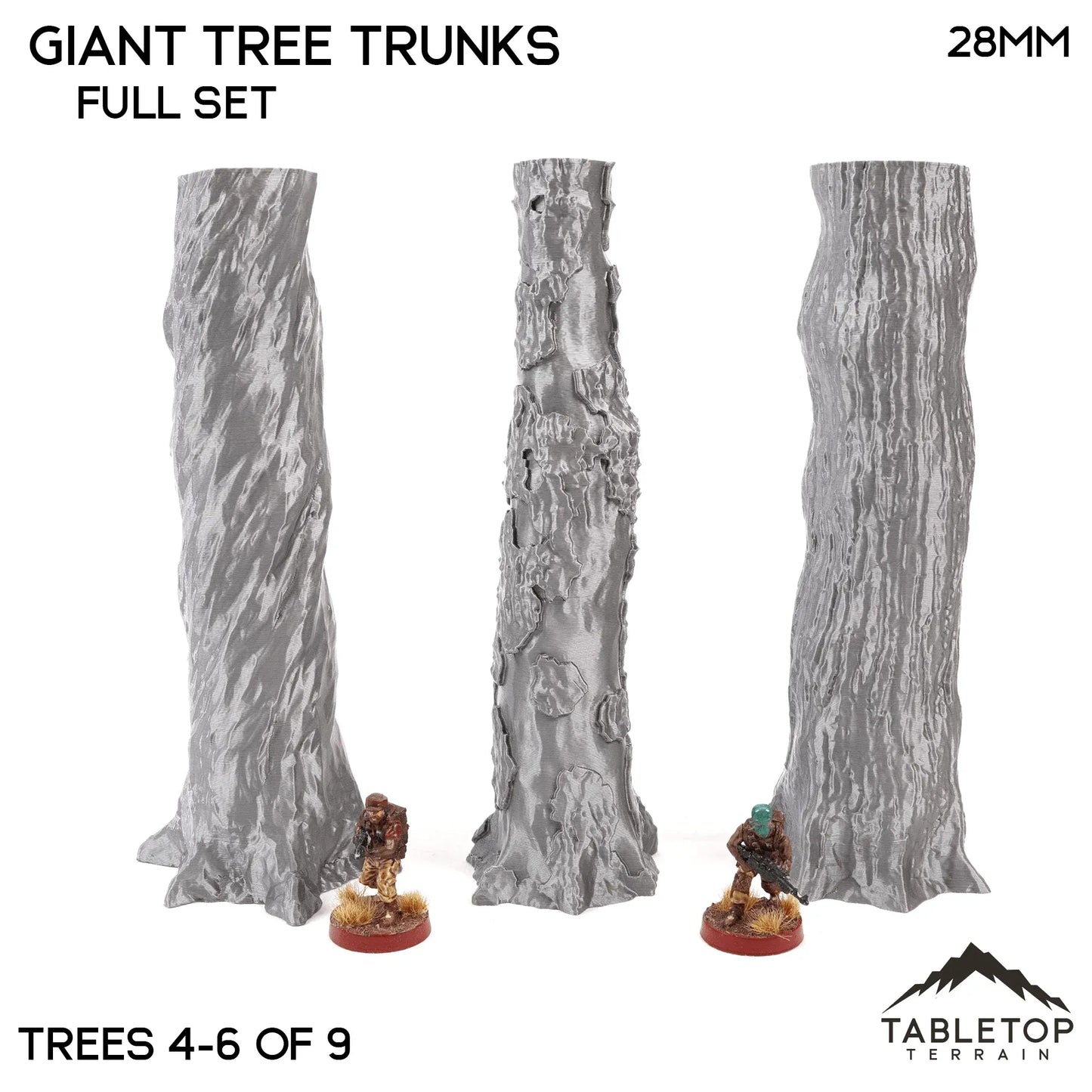 Giant Tree Trunks