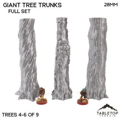 Giant Tree Trunks