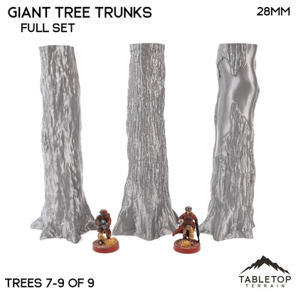 Giant Tree Trunks