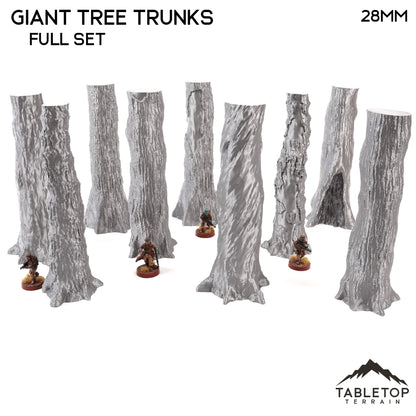 Giant Tree Trunks
