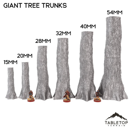 Giant Tree Trunks