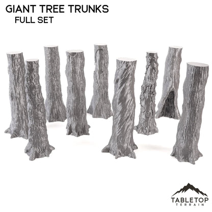 Giant Tree Trunks