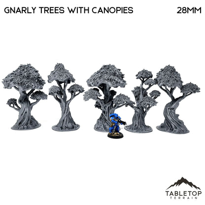 Gnarly Trees with Canopies - Scatter Terrain
