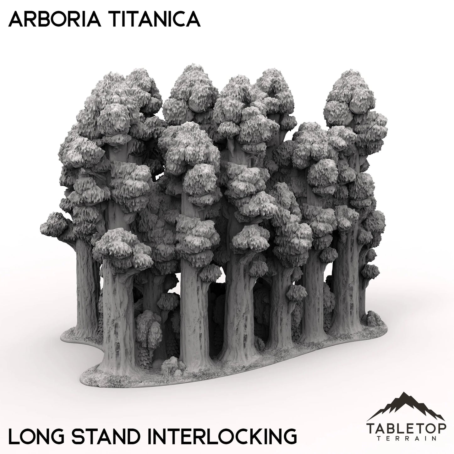 Arboria Titanica - 6-8mm