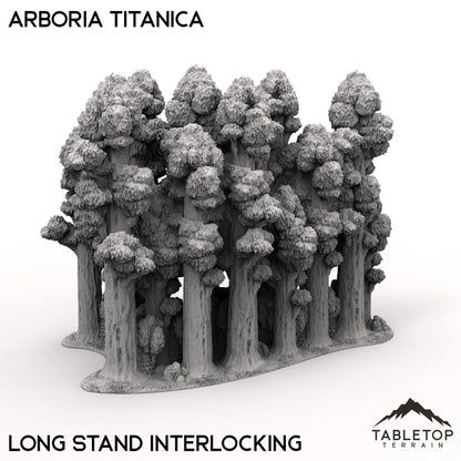 Arboria Titanica - 6-8mm