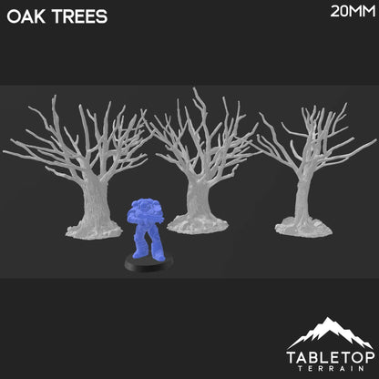 Oak Trees - Country & King - Fantasy Historical Trees