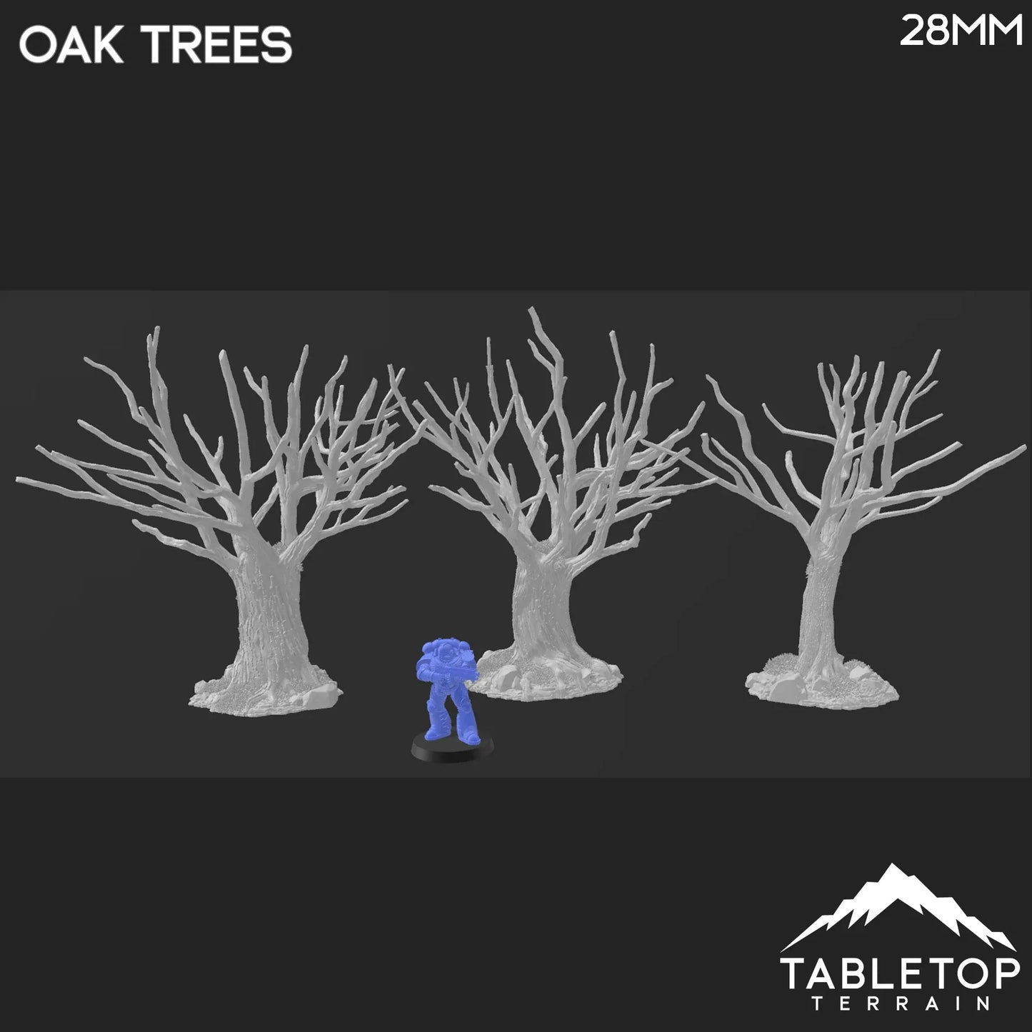 Oak Trees - Country & King - Fantasy Historical Trees