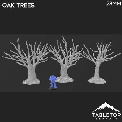 Oak Trees - Country & King - Fantasy Historical Trees