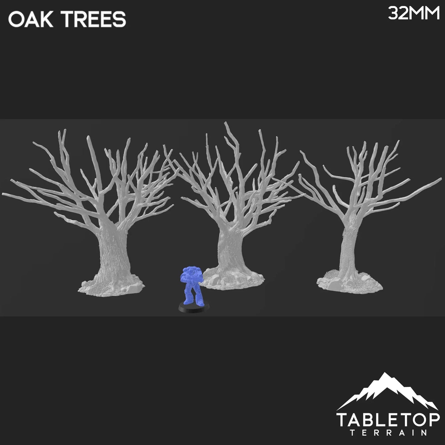 Oak Trees - Country & King - Fantasy Historical Trees