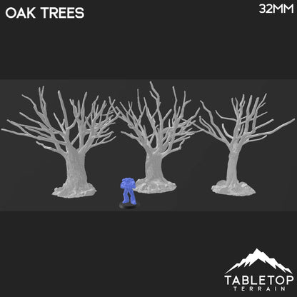 Oak Trees - Country & King - Fantasy Historical Trees