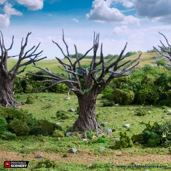 Oak Trees - Country & King - Fantasy Historical Trees