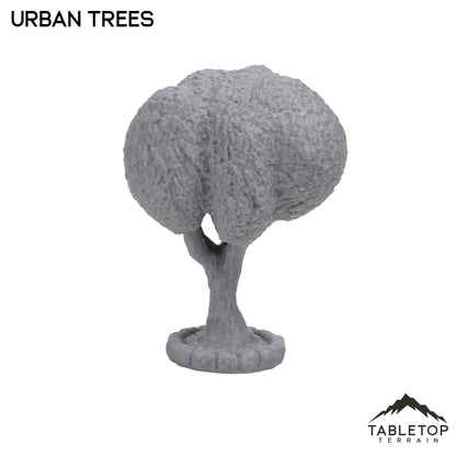 Urban Trees
