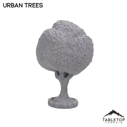 Urban Trees