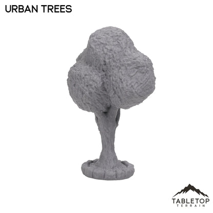 Urban Trees