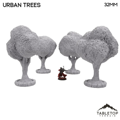 Urban Trees