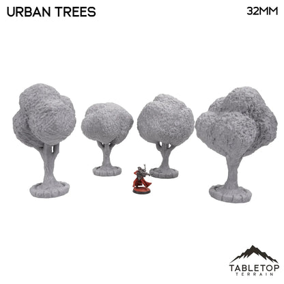 Urban Trees
