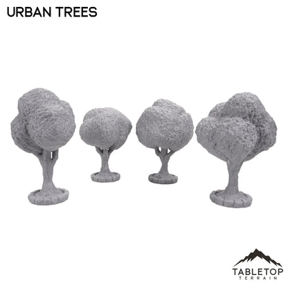 Urban Trees