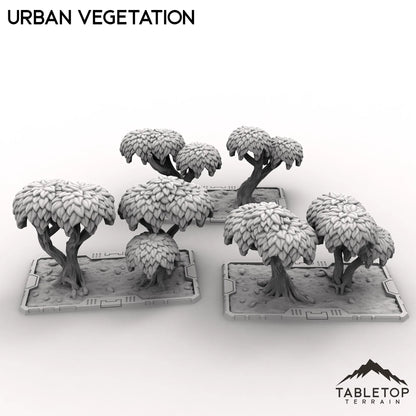 Urban Vegetation