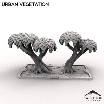 Urban Vegetation