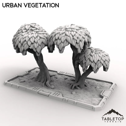 Urban Vegetation