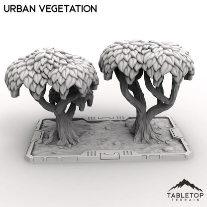 Urban Vegetation