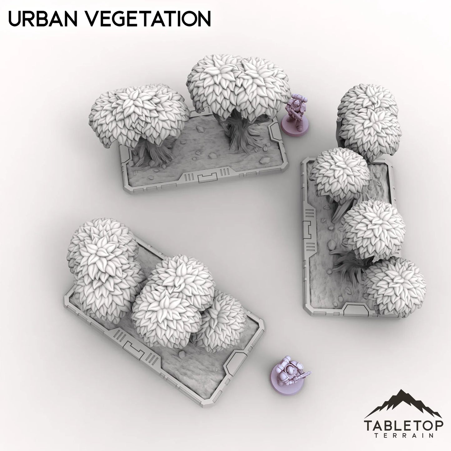 Urban Vegetation