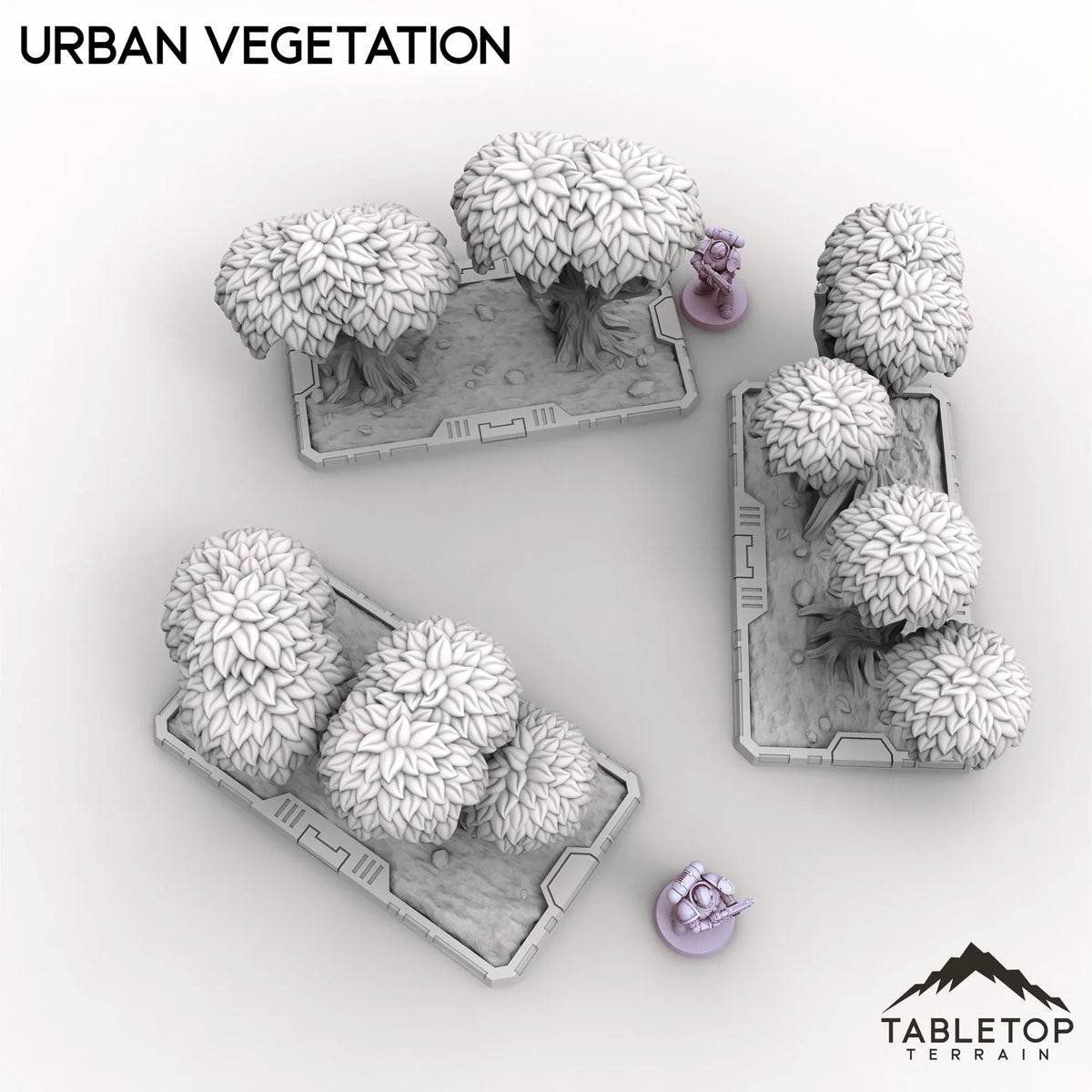 Urban Vegetation
