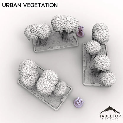 Urban Vegetation