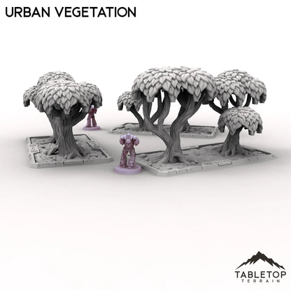 Urban Vegetation